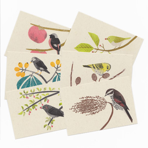 木の実と野鳥のポストカード